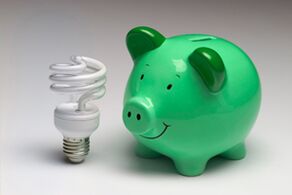 E -energy - Rosette pentru a economisi energie
